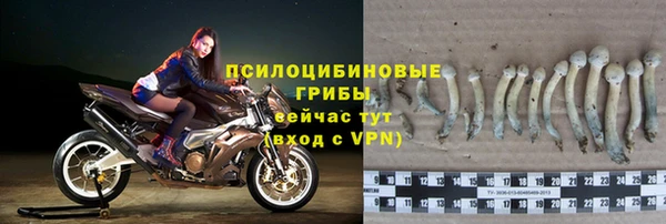 прущая мука Пересвет