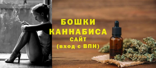 бошки Осинники