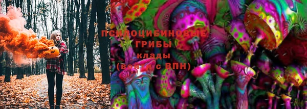 прущая мука Пересвет