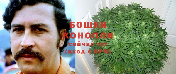 ГАЛЛЮЦИНОГЕННЫЕ ГРИБЫ Валуйки